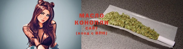 мдпв Богородск