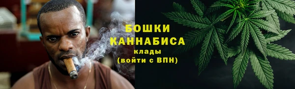 мдпв Богородск
