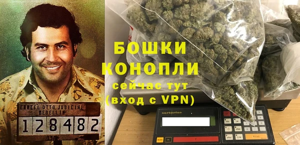 мдпв Богородск