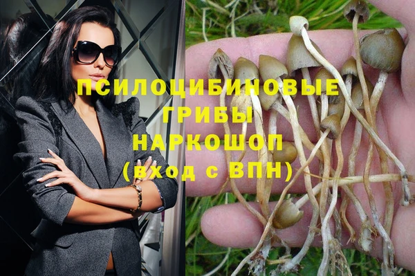 кокс Богородицк