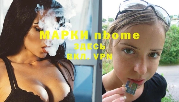 мдпв Богородск