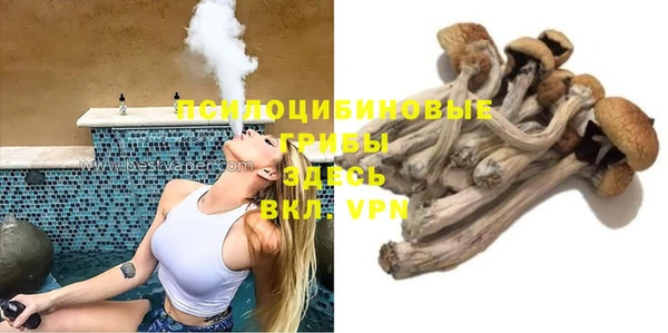 2c-b Богданович