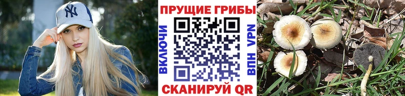 даркнет какой сайт  Дегтярск  Псилоцибиновые грибы ЛСД  где найти наркотики 